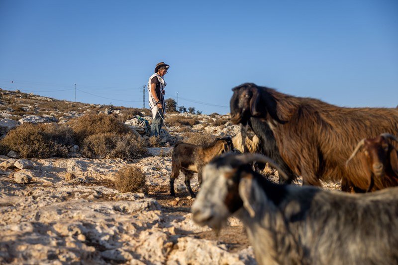 חיים גולדברג, פלאש 90