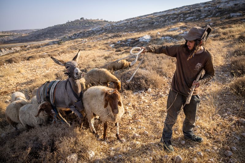 חיים גולדברג, פלאש 90