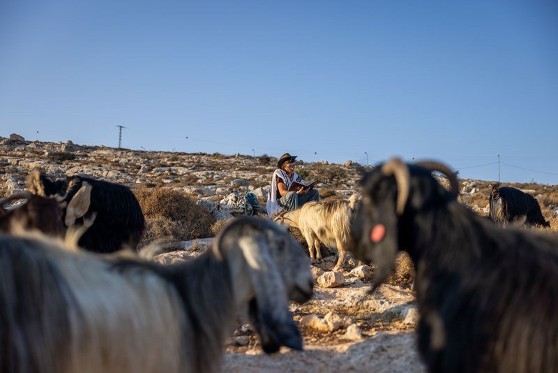 חיים גולדברג, פלאש 90