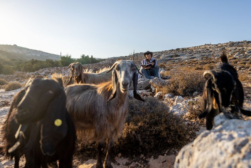 חיים גולדברג, פלאש 90