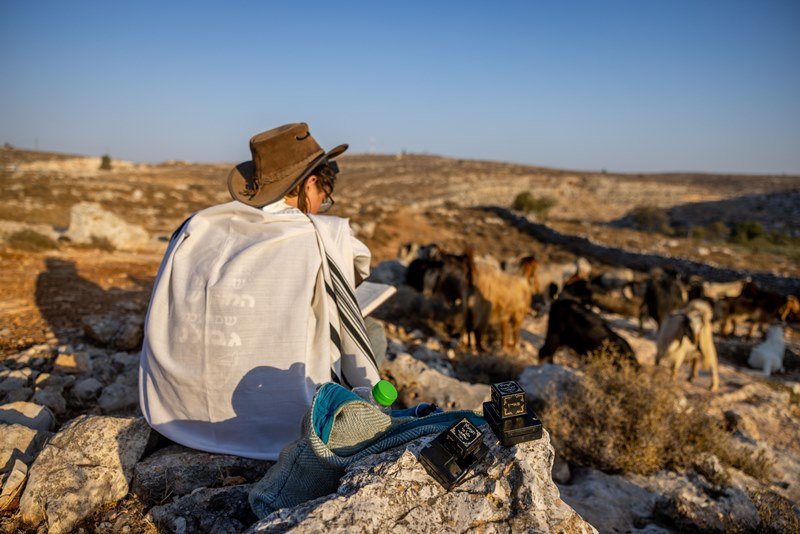 חיים גולדברג, פלאש 90