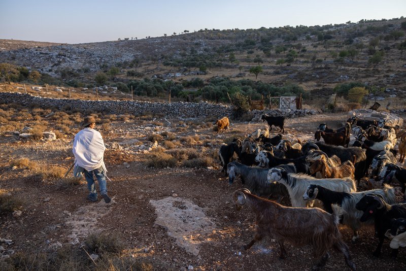 חיים גולדברג, פלאש 90