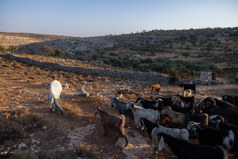 חיים גולדברג, פלאש 90