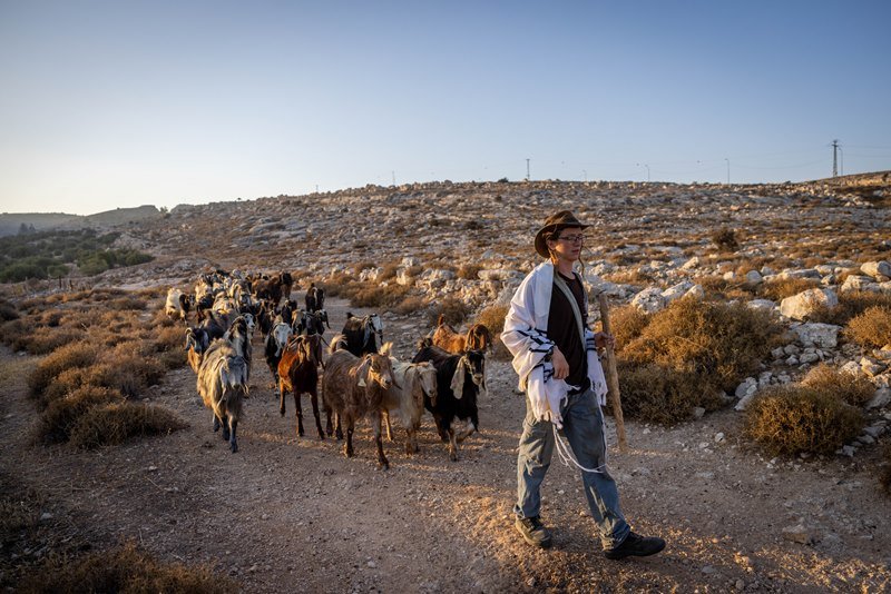 חיים גולדברג, פלאש 90