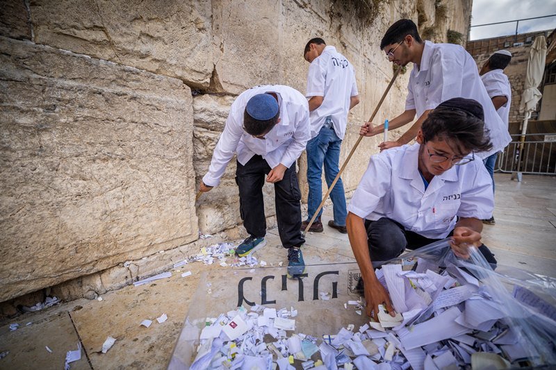 צילום: יונתן זינדל, פלאש 90