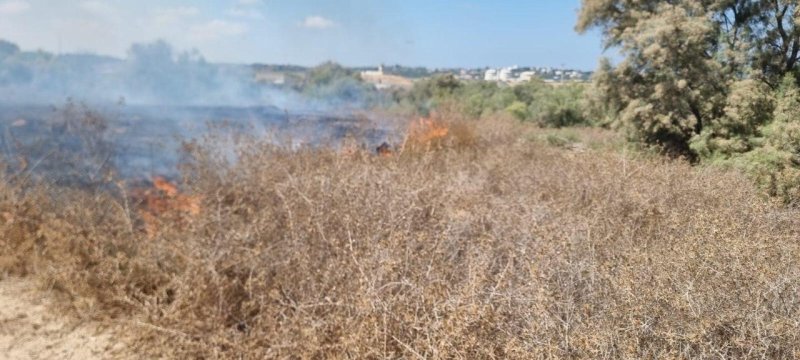 עובדי ויערני קק״ל