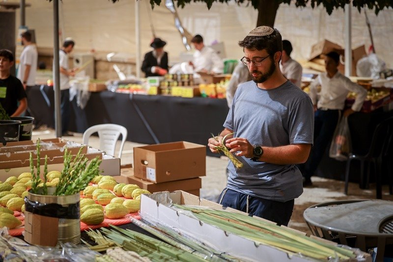 חיים גולדברג, פלאש 90