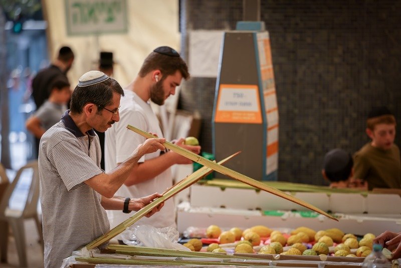 חיים גולדברג, פלאש 90