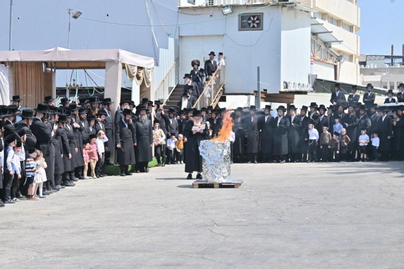 יהושע פרוכטר