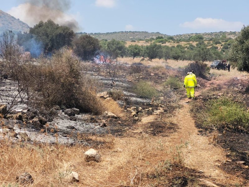 זיו לוי רט"ג