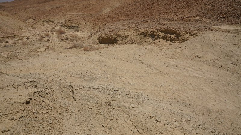 עזרי קידר, באדיבות עמותת קשת