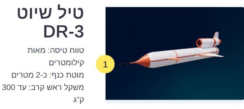 דובר צה"ל