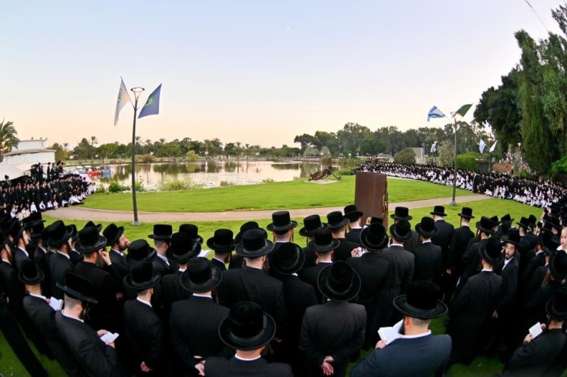 יהושע פרוכטר