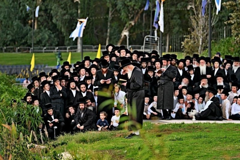 יהושע פרוכטר