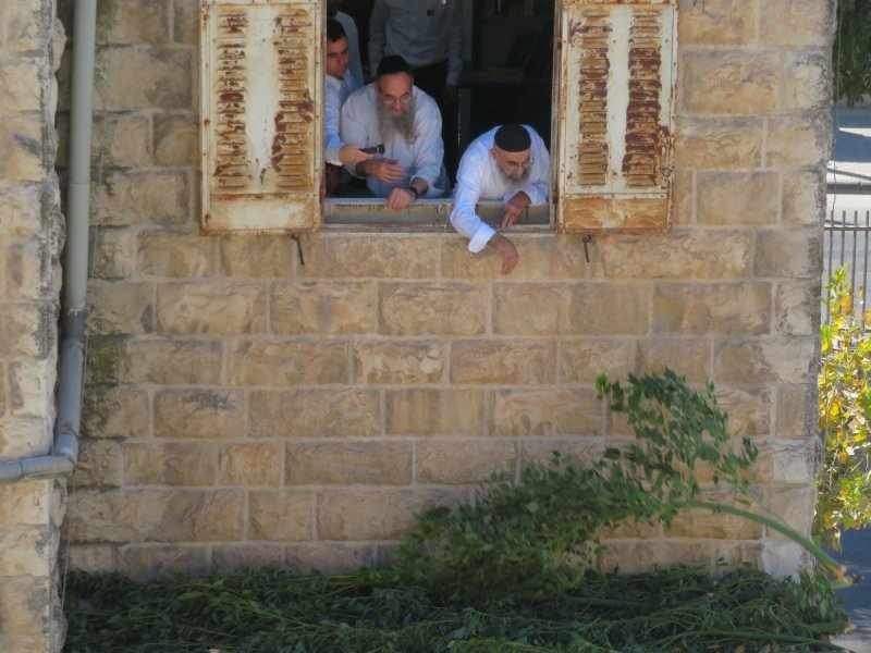 ידידיה מ.