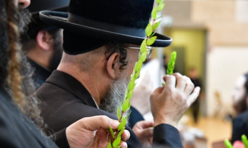 האתרוג נפל בזמן הבדיקה: מי צריך לשלם?