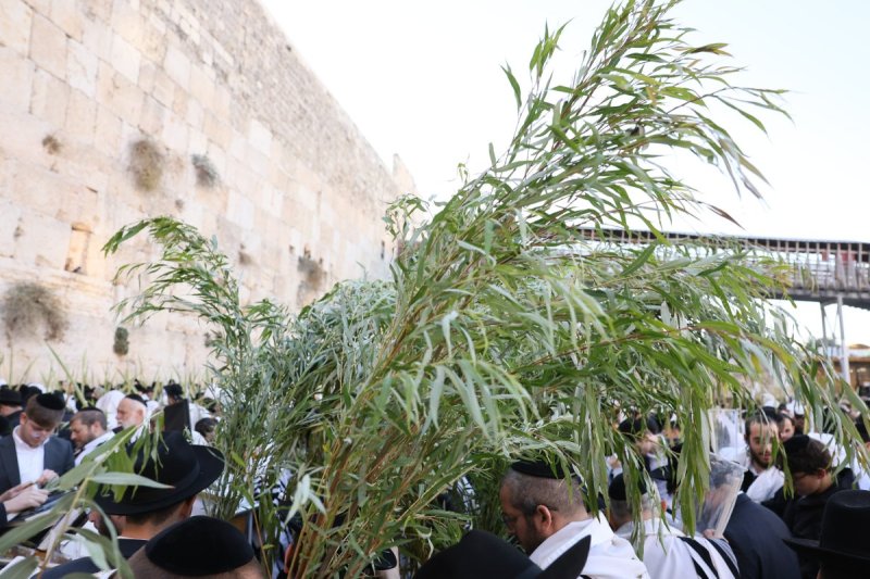  הקרן למורשת הכותל המערבי