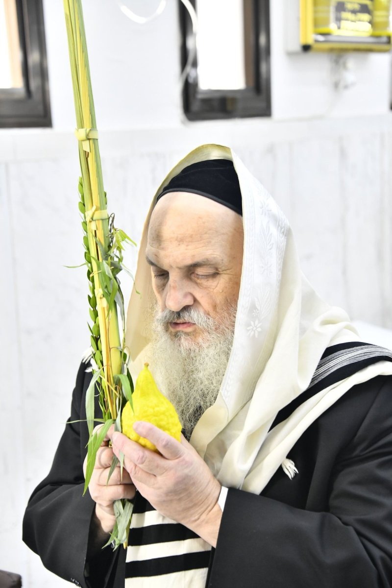 שוקי לרר ודוד קשת