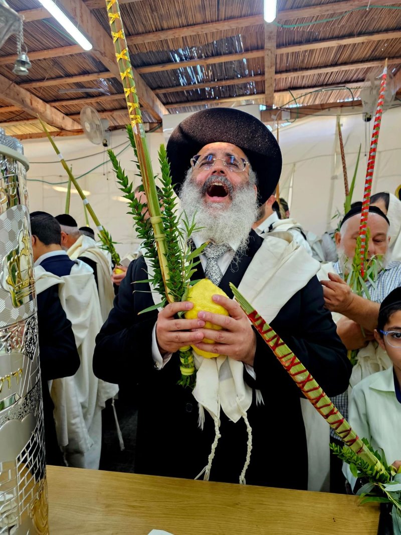 באדיבות המצלם