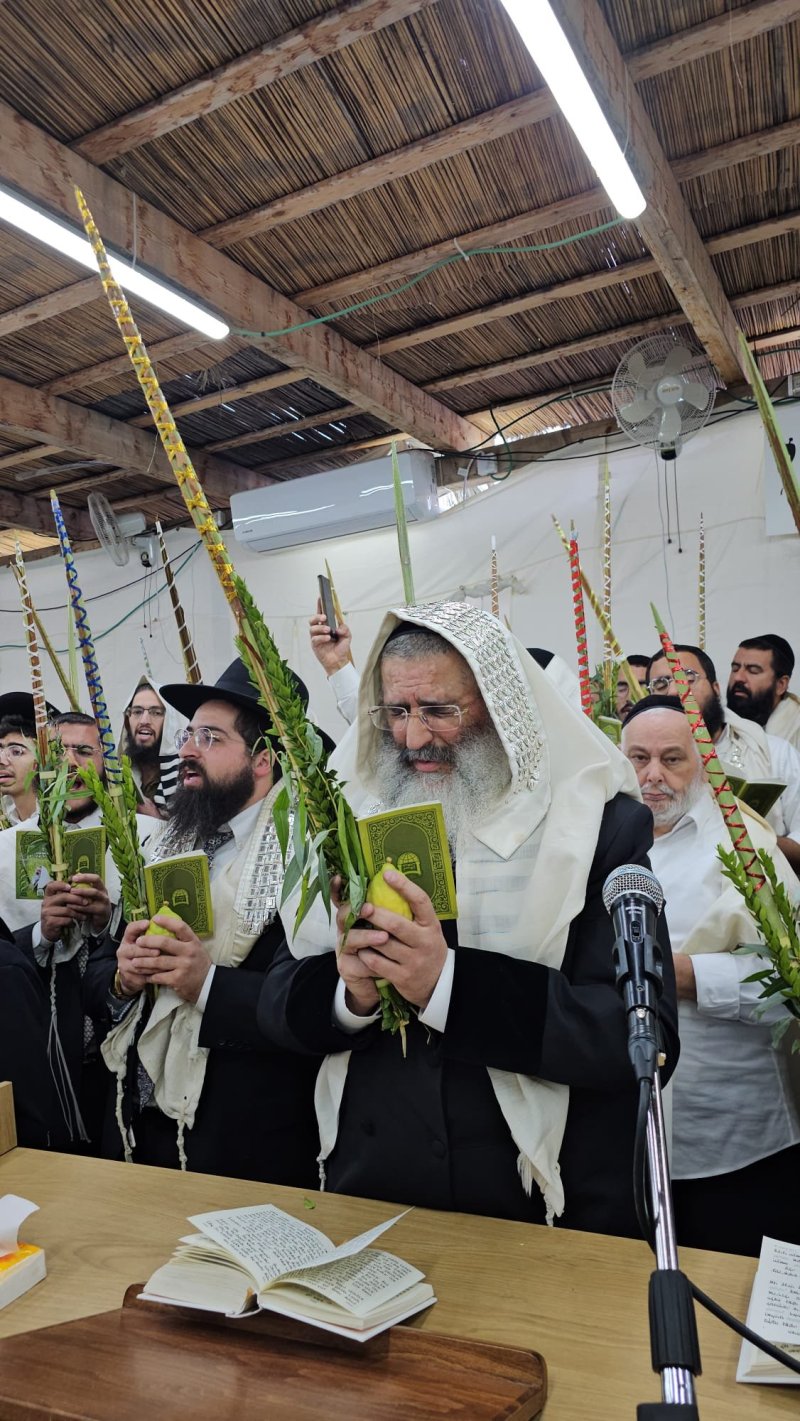 באדיבות המצלם