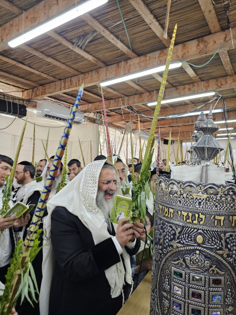 באדיבות המצלם