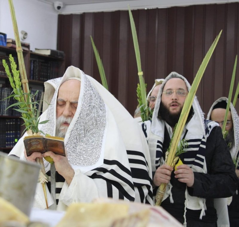 איתי קצב