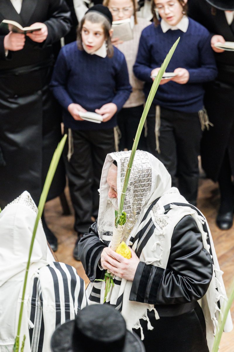 האחים לאנטשעווסקי