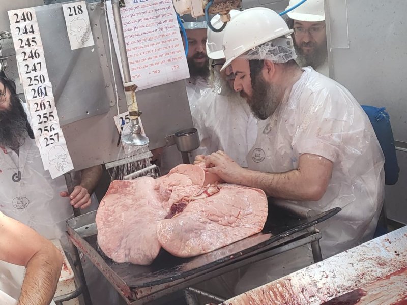 בחצרות סאטמר