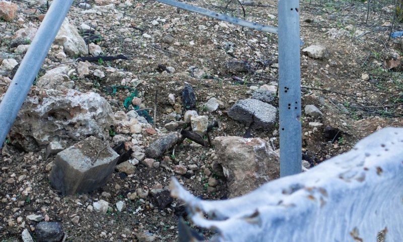 100 מיליון שקל לצפון: השקעה משמעותית או צעד קטן מול משבר ענק?