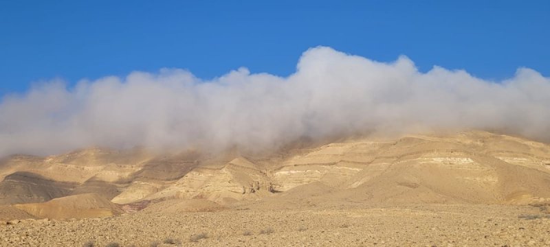 ג׳מיל אטרש רט"ג