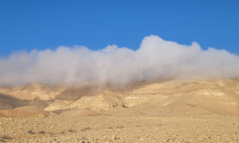 שיא של 40 שנה נשבר: פברואר לוהט כזה לא נראה בישראל מאז 1987