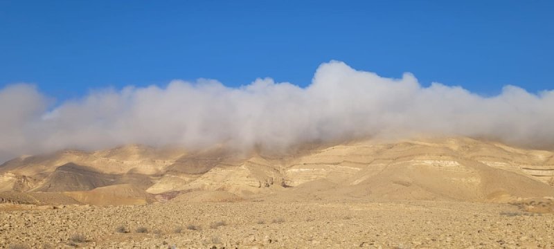 ג׳מיל אטרש רט"ג