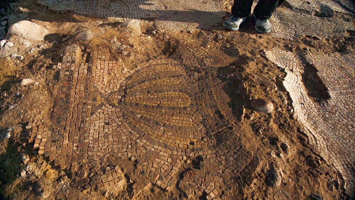 אמיל אלג'ם רשות העתיקות