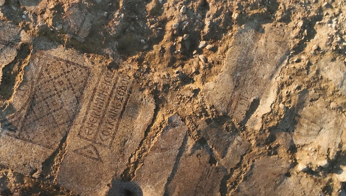 אמיל אלג'ם רשות העתיקות