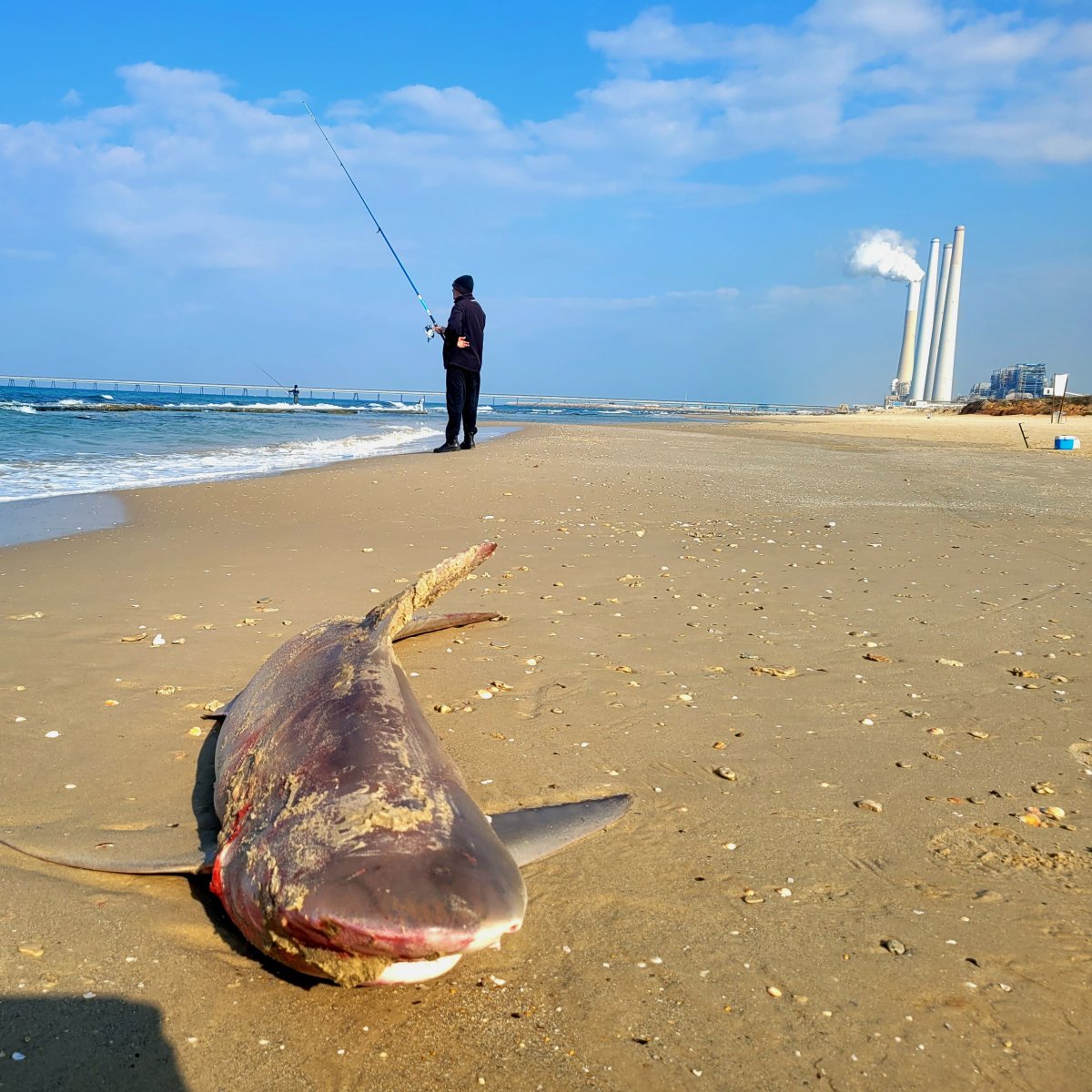 אליה בסקין, רט"ג