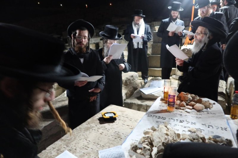 באדיבות המצלם