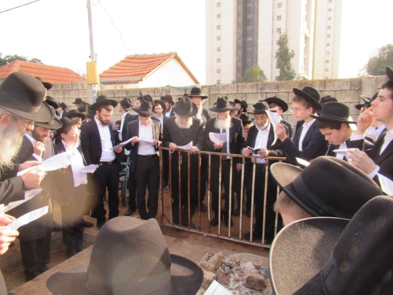 באדיבות המצלם