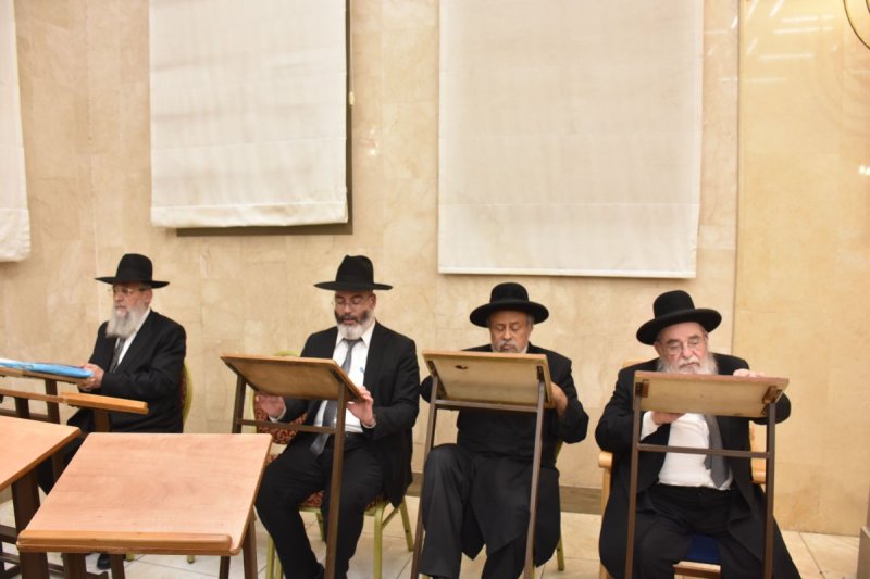 יהודה פרקוביץ