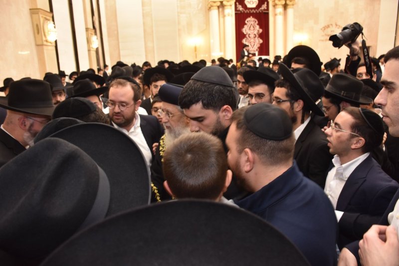 יהודה פרקוביץ