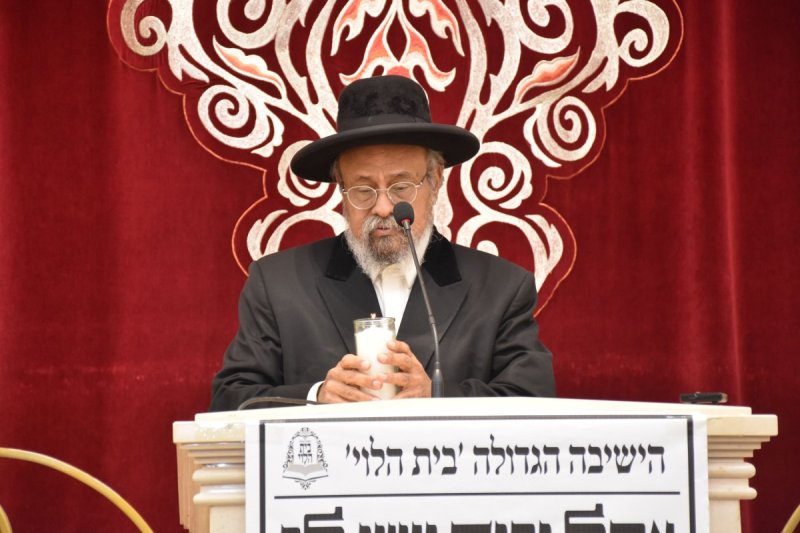 יהודה פרקוביץ