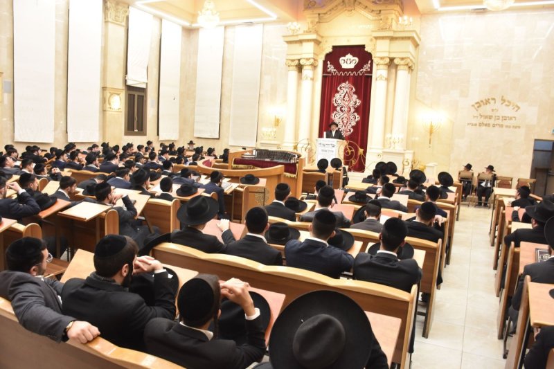 יהודה פרקוביץ