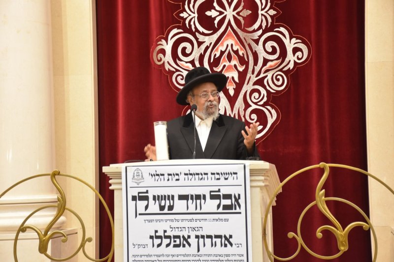 יהודה פרקוביץ