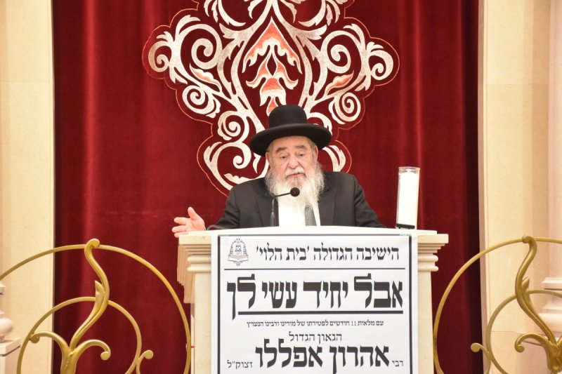 יהודה פרקוביץ