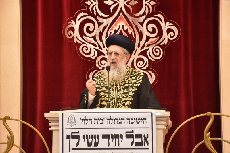 יהודה פרקוביץ