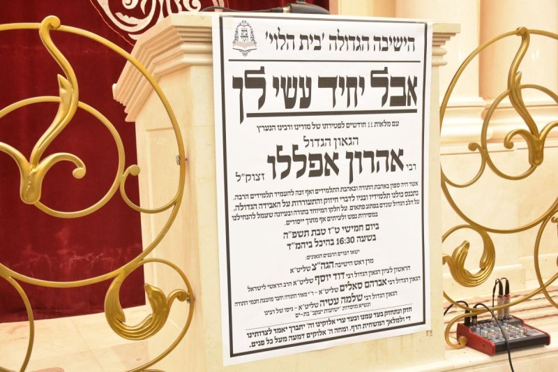 יהודה פרקוביץ
