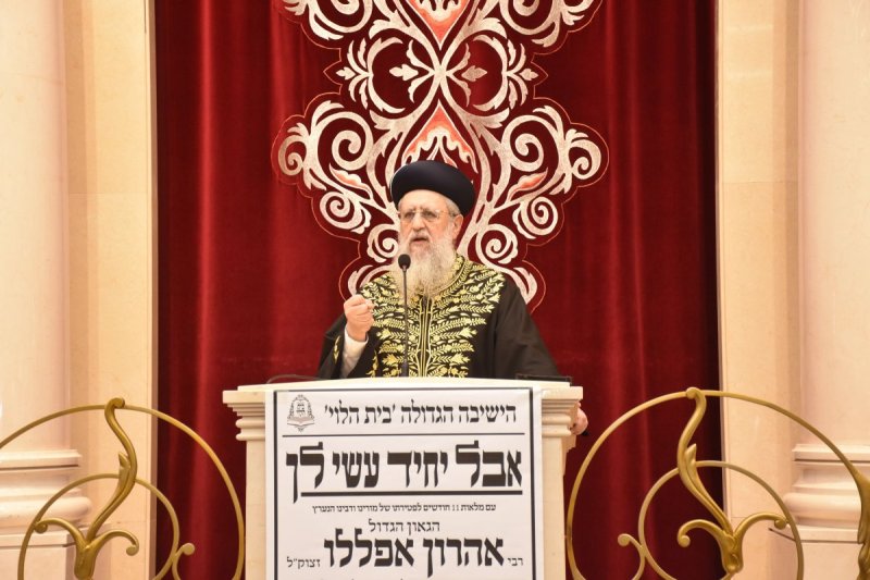 יהודה פרקוביץ