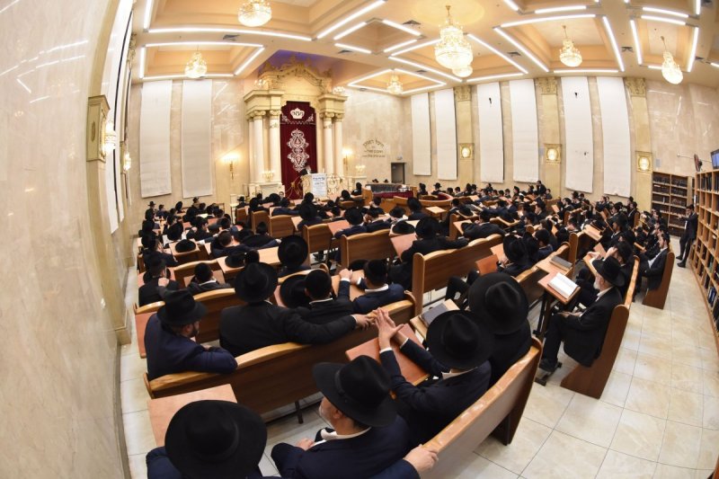 יהודה פרקוביץ