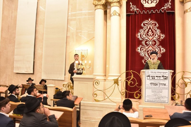יהודה פרקוביץ