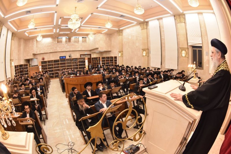 יהודה פרקוביץ