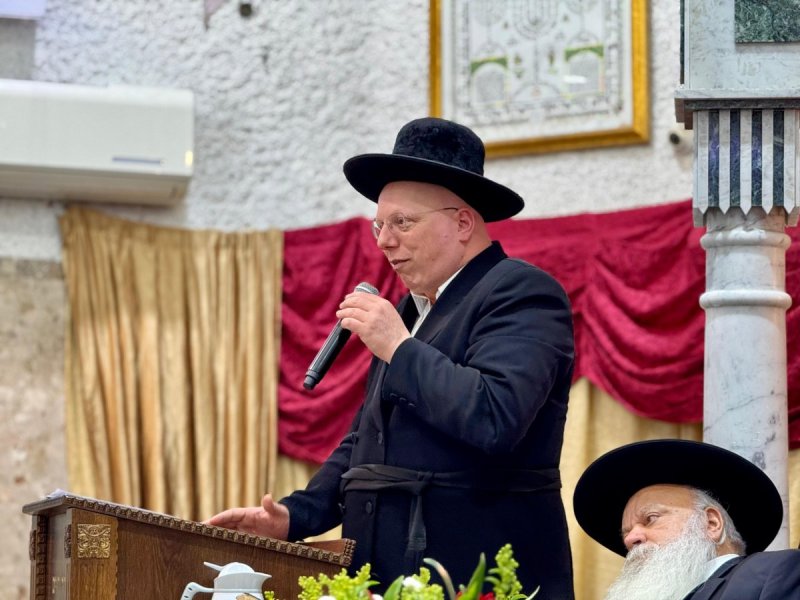 נועם אליהו